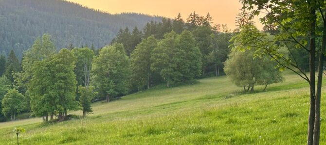 Letní školení ve Špindlerově Mlýně Letní školení ve Špindlerově Mlýně